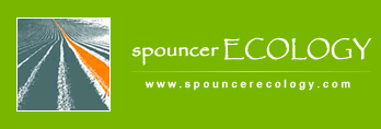 spouncerEcology