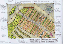 Designing a Garden for Chelsea Flower Show